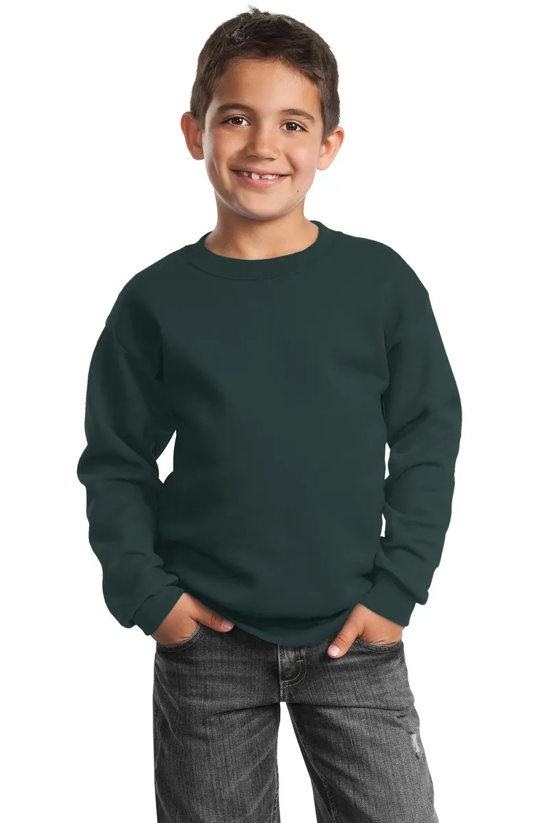 Port & Co Youth Core Fleece Crewneck Sweatshirt.  PC90Y - additional view 7
