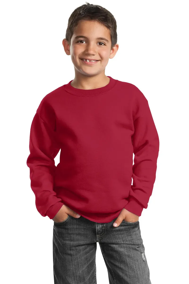 Port & Co Youth Core Fleece Crewneck Sweatshirt.  PC90Y - additional view 14
